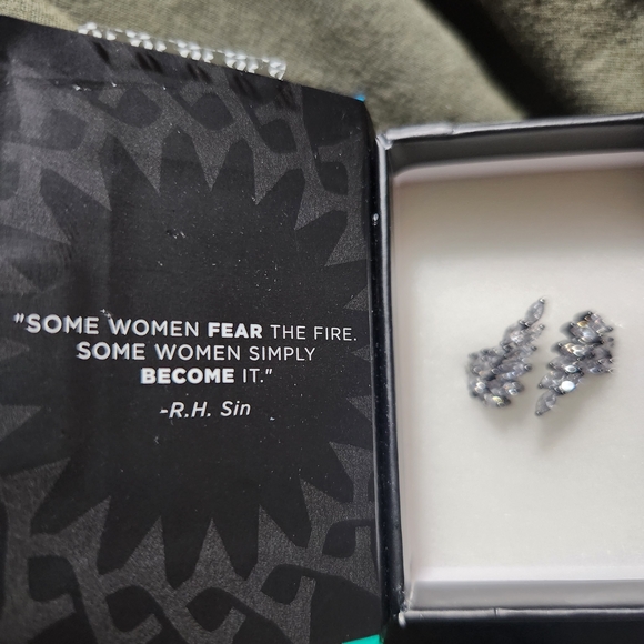 reign "the villian collection"wings of a raven CZ on hematite. - Picture 6 of 8